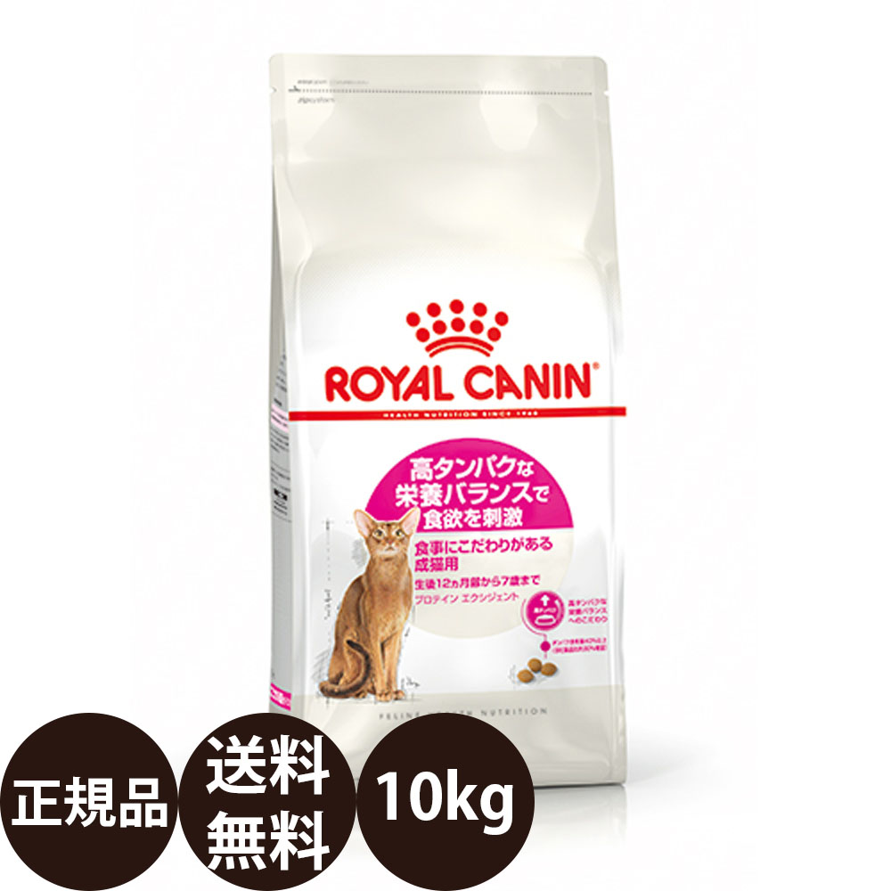 【面白がる締め切り日:2027/6/15】[ 定め事品 貨物輸送無料 ] ロイヤル聖地 プロテインエクシジェント 10kg [ ロイヤルかなん フィーライン 健全さ ニュートリション 高タンパク質な営養素平衡にするで食欲を揺りうごかす 召し上がるにこだわりがある成猫用 猫 猫用 ]