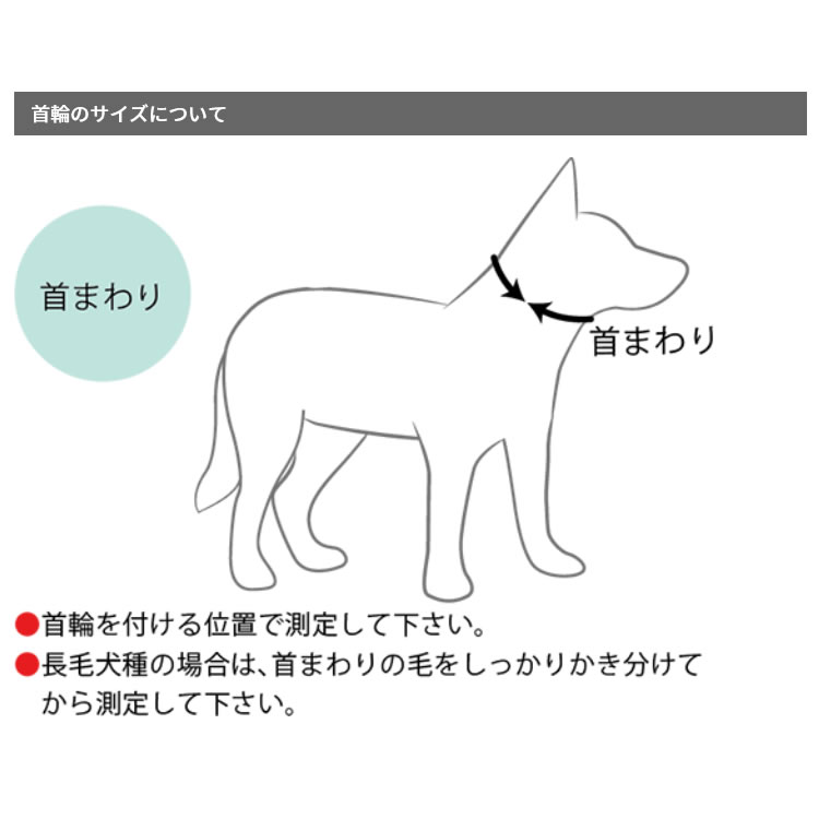 EZYDOG ネオカラー M (ブラック、レッド、グリーンカモ、ピンクカモ、オレンジ、ブルー、バブルガム) 【イージードッグ】 EZYDOG ネオカラー M (ブラック、レッド、グリーンカモ、ピンクカモ、オレンジ、ブルー、バブルガム) 【イージードッグ】