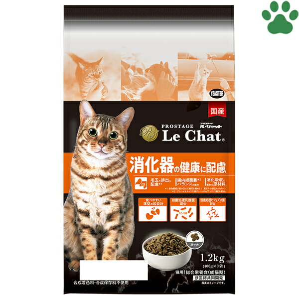 鋳込み用石膏型・猫 鋳込み用 石膏型 招き猫 W85×H150mm まねきねこ 型 陶芸 陶芸