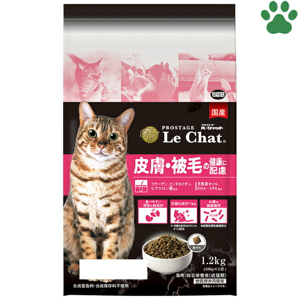☆ねこ☆ さん　専用 CATROAD+ ワイドステップ 450mm | animacolle（アニマコレ）