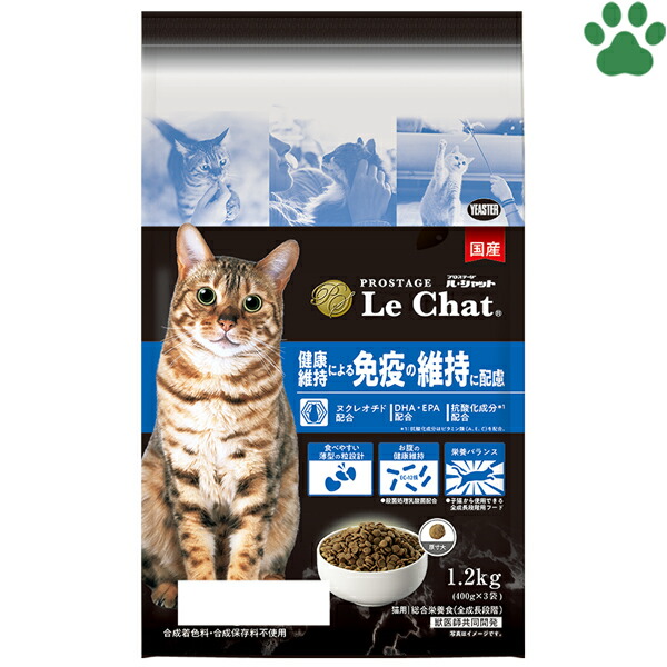 ☆ねこ☆ さん　専用 ZAP CAT ぬいぐるみSサイズ【全4種】 – nipopo