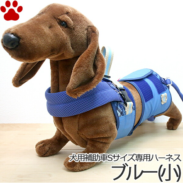 最安値 楽天市場 0 お取り寄せ ペットアドバンス ドギーサポーター 専用ハーネス Sサイズ用 小 ブルー 単品 小型犬用日本製 吊り紐付き 後ろ足 介護 補助 散歩 犬 ピカコーポレイション ナチュラルスタイル For Pets 数量限定 Blog Belasartes Br 最安値 楽天市場 0 お取り寄せ ペットアドバンス ドギーサポーター 専用ハーネス Sサイズ用 小 ブルー 単品 小型犬用日本製 吊り紐付き 後ろ足 介護 補助 散歩 犬 ピカコーポレイション ナチュラルスタイル For Pets 数量限定 Blog Belasartes Br