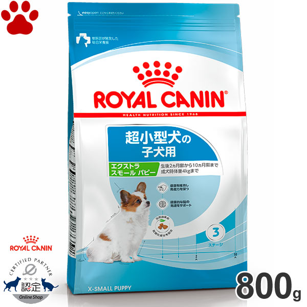  CANIN ミニスターター 10kg×2個セット ROYAL CANIN ミニスターター 10kg×2個セット ロイヤルカナン ミニ