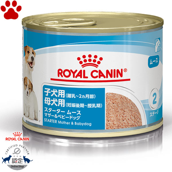 ロイヤルカナン ミニスターター 10kg （マザー&ベビー犬・ドッグ) ロイヤルカナン SHN ミニ スターター マザー&ベビードッグ（子犬