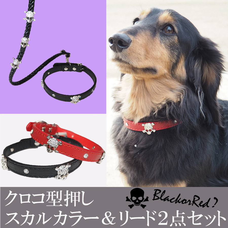 楽天市場 クロコ型押し スカルカラー リード2点セット 犬 首輪 犬 リード オリジナル ドッグバディ Dog Buddy