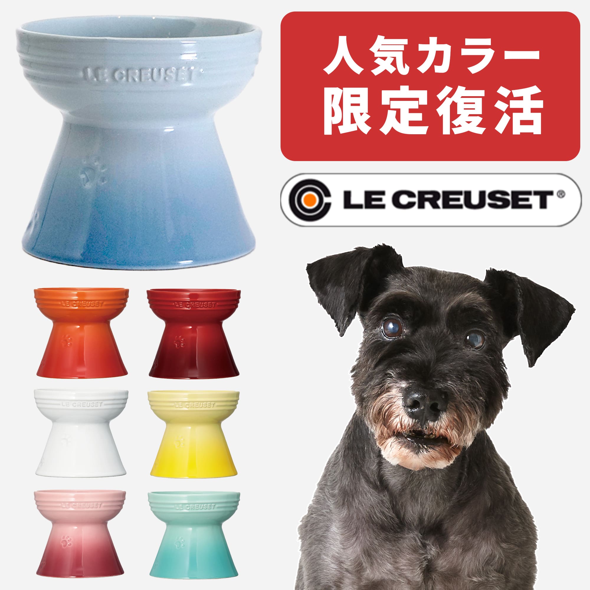 市場 ル クルーゼ ペットフード チェリーレッド フードボウル スクープ付キ ペット ペット用品 Creuset コンテナー 猫用 Le 犬用