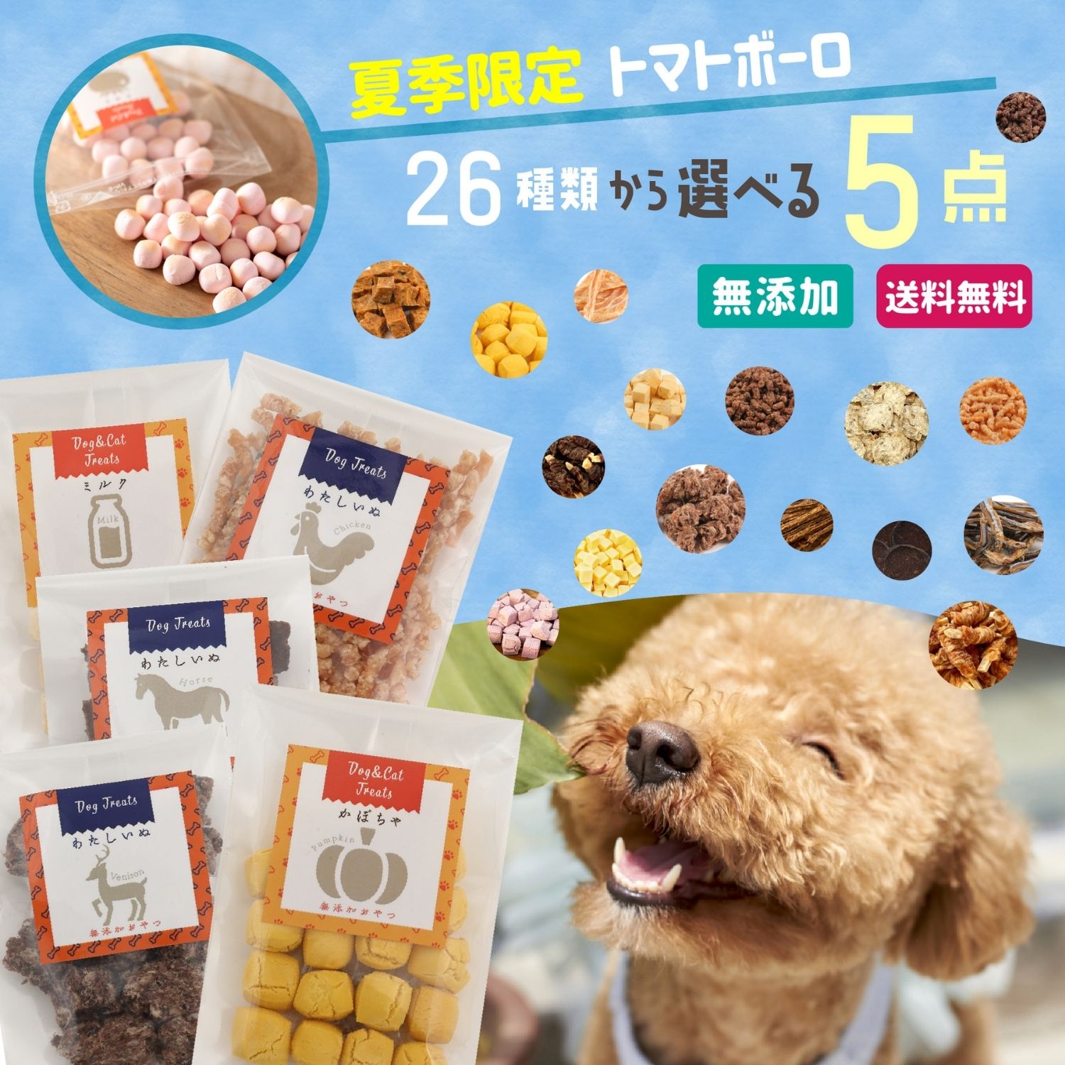 楽天市場】【マラソン限定100円クーポン発行中】 犬 おやつ 【 無添加 国産 】 鹿 スペアリブ (80g) 犬用 骨 しか 無添加 カルシウム  低脂肪 (わたしいぬ） 犬 おやつ 無添加 国産セレクト : わたしいぬ わたしねこ