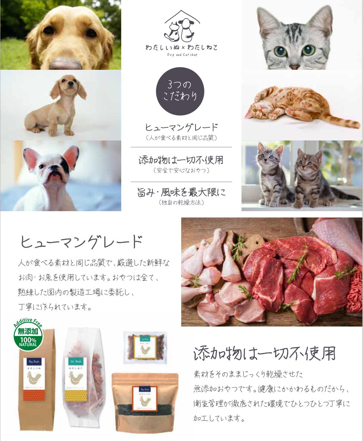 猫 おやつ ささみ 無添加 国産 猫用 25g わたしいぬ わたしねこ トリーツ 手作りごはん フリーズドライ おやつ 鶏 若鶏ささみ チキン 鳥 お買い得モデル 62 割引 Festina Pl