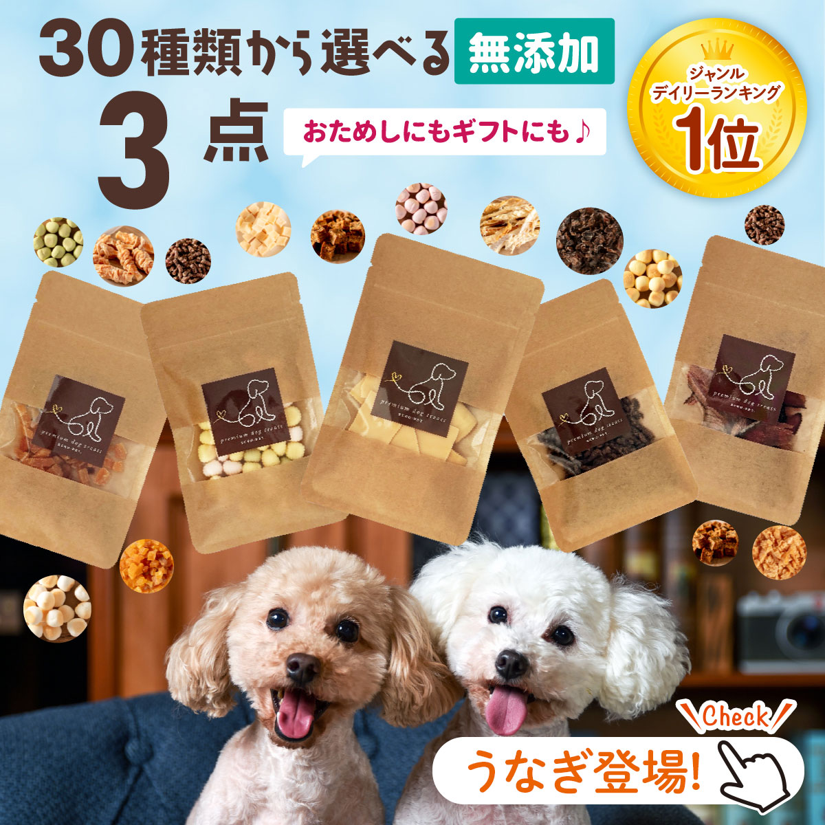 ayalamby　犬の無添加おやつ 犬 おやつ 無添加 魚 北海道産水揚げ 鮭キューブ 40g 鮭 さけ 低