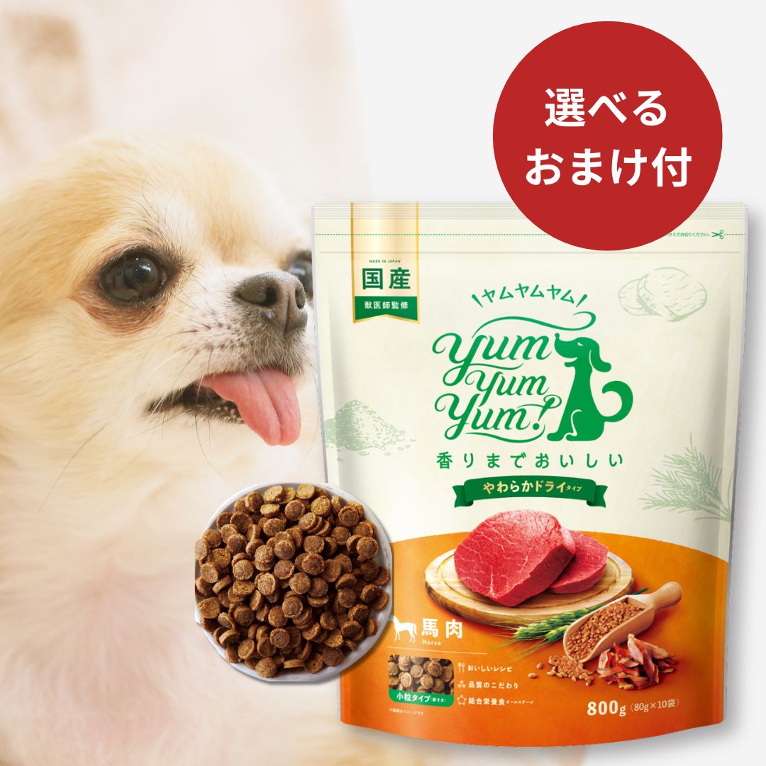 【最大300円OFFクーポン】 ヤムヤムヤム ドックフード 馬肉 やわらかドライタイプ 800g (80g&times;10) Yum Yum Yum ! 犬 犬用 ドッグフード ドライフード ペットフード 小粒 国産 無添加 犬 成犬用 老犬用 シニア犬｜わたしいぬ わたしねこライフ