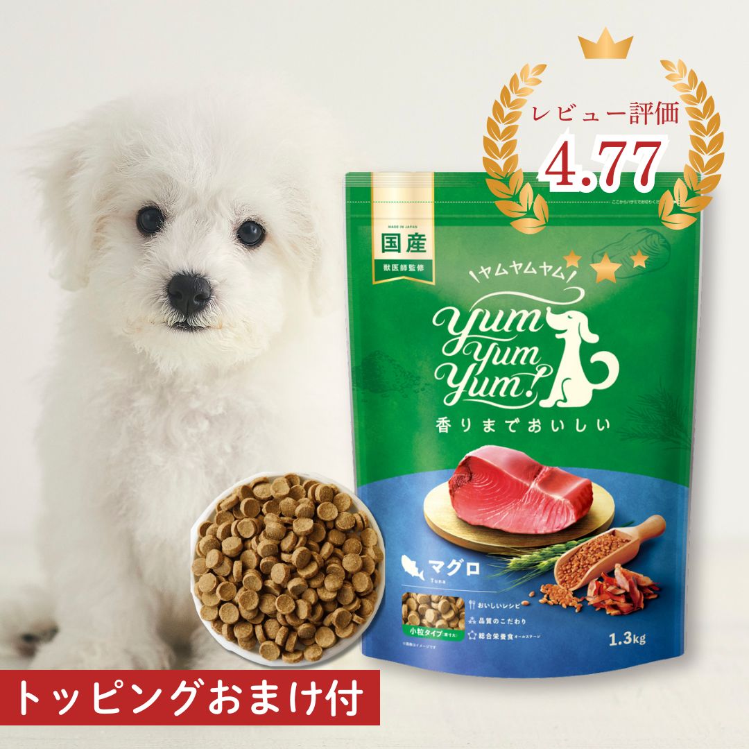 楽天市場】【どれでも2点以上購入でP最大10倍☆要エントリ】 【ジュレ3