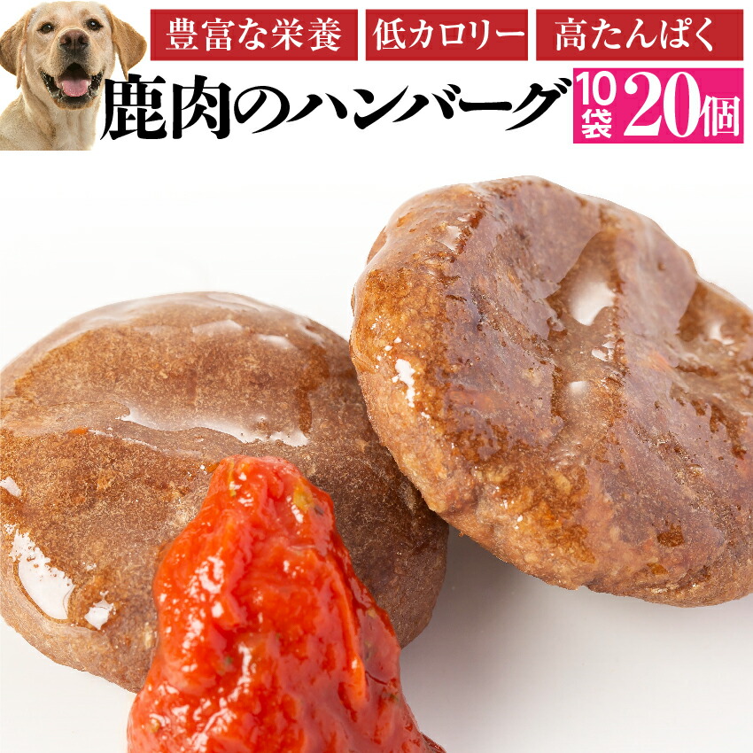 Jospictjatioa 犬 リンパ腫 食事 手作り 1162 犬 リンパ腫 食事 手作り