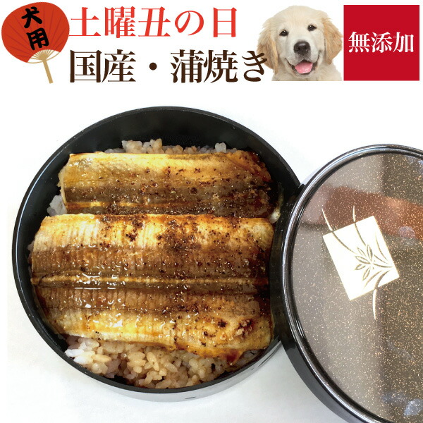 楽天市場 令和3年 21年 犬用 土曜丑の日 蒲焼き 無添加 天然 犬の手作りご飯 犬のご飯とケーキのドッグダイナー