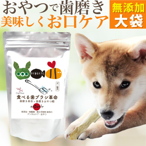 【楽天市場】【無添加・国産】犬用 歯磨きおやつ( 食べる歯ブラシ・革命 小袋 )歯垢 歯石除去 デンタルケア 簡単ケア おやつ 歯磨き 歯ブラシ  ドッグダイナー : 犬のご飯とケーキのドッグダイナー