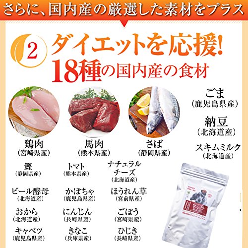 ドッグフード わん ごはん ダイエット 750g 体重管理 肥満な犬の手作りご飯 通常便 送料無料 犬のケーキ 犬のご飯とケーキのドッグダイナードックフード オヤツ 犬用 手作りごはん チワワ ペットフード 手作りご飯の素 レビューを書けば送料当店負担 熱い販売