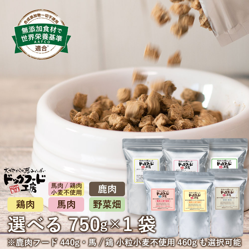 楽天市場 送料無料 国産 無添加 ドッグフード工房 馬肉 鶏肉 野菜畑 750g 全犬種 ドックフード 小型犬 成犬 犬の餌 犬 ごはん 犬用 老犬 超小型犬 中型犬 大型犬 ドッグフード エサ ペット 犬のえさ 幼犬 いぬ 犬用食品 低脂肪 アレルギー 胃腸 食物繊維 ペット
