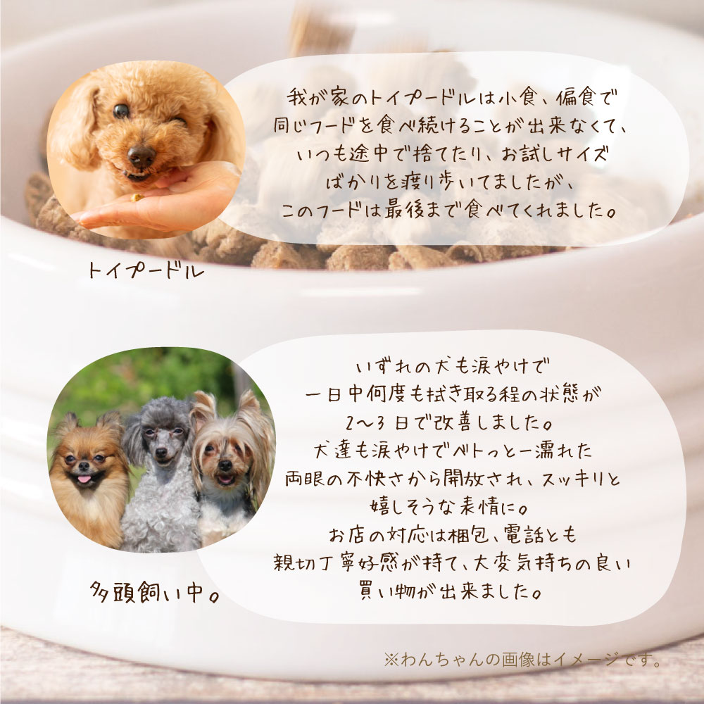 超小型犬 ごはん ごはん 馬肉 無添加 超小型犬 野菜畑 組み合わせ自由 全犬種 アダルト ペットフード 馬肉 選べる2kg 2袋セット 中型犬 ドッグフード工房 馬小粒 小麦不使用 鶏小粒 小麦不使用 選べる2kg 2袋セット 国産 ドッグフード 老犬 小型犬 鹿肉 国産