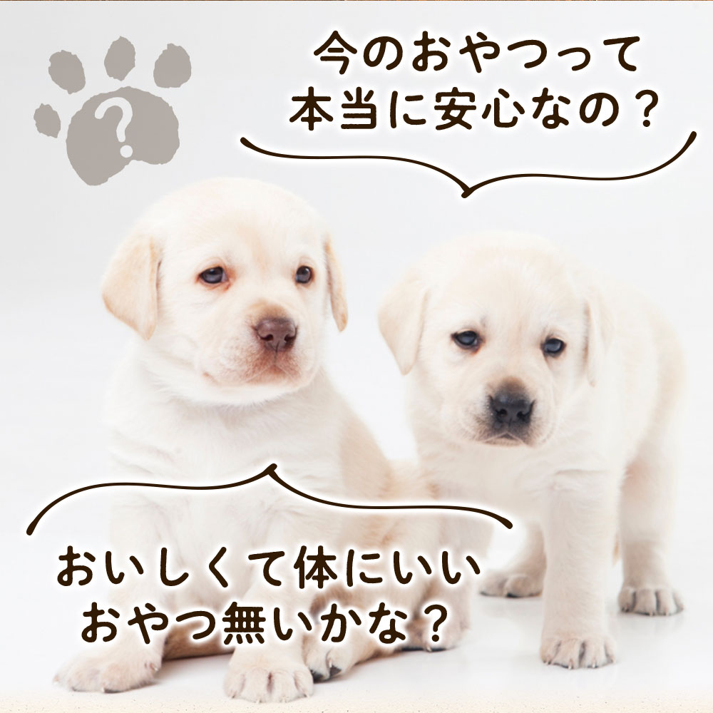 楽天市場 無添加 国産 鶏ささみ ステーキ 40g ドッグフード工房 犬の無添加おやつ 小型犬 シニア犬にも食べやすいサイズ ドックフード工房 ささみ ササミ 鶏肉 犬 犬用 犬用おやつ 犬おやつ 国産無添加 餌 えさ フード 犬のおやつ ドッグフード ドックフード