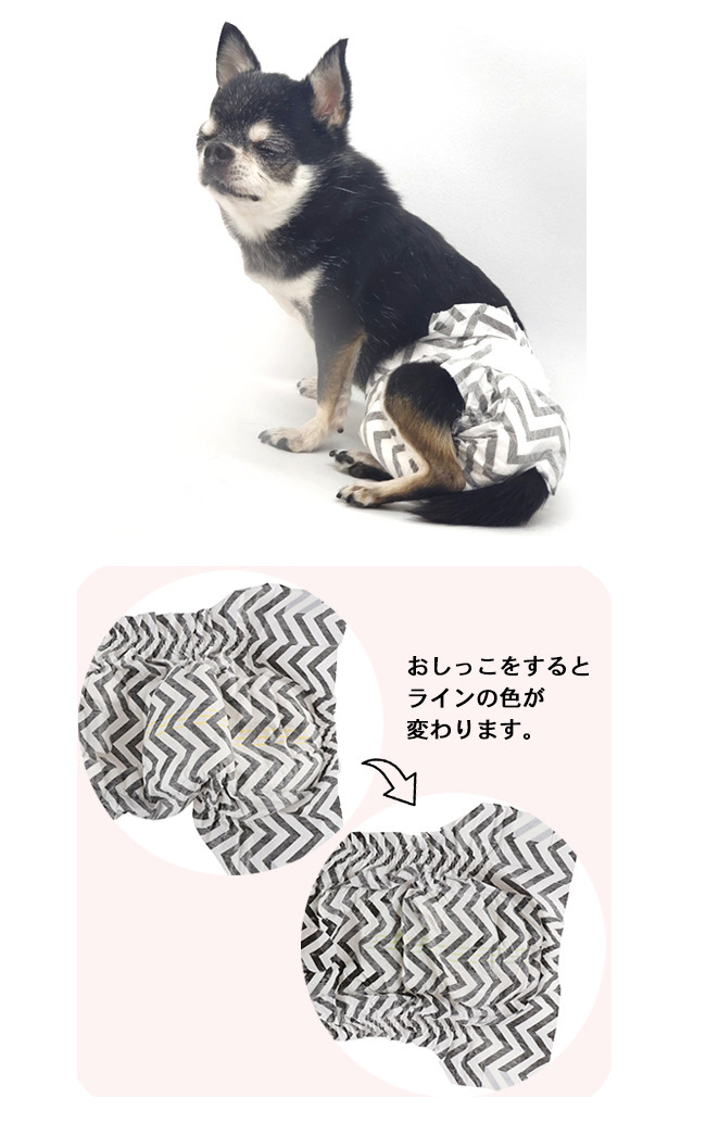 爆買い！ チワワ様 確認用 abamedyc.com