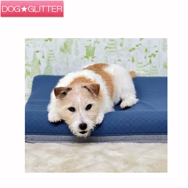 Wonddy Super CoolBed(DS/SC/SET-M/blue)<br>犬用 夏用 ひんやり スーパークールベッド ドッグベッド ワンクスクリエイション