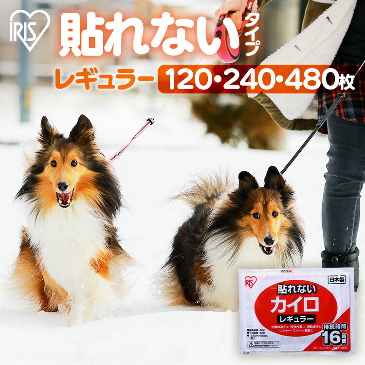＼愛玩動物のおほっつき歩く時に！／【120枚/240枚/480枚】カイロ アイリスオーヤマ 貼らない まとめ買い 使い捨て 花ショウブ レギュラー 使い捨てカイロ はらない レギュラー大きさ 防災 通い 通学 防寒 腰 後ろ側 冬 持ちはこぶ 寒さ打つ手 [2606SX]