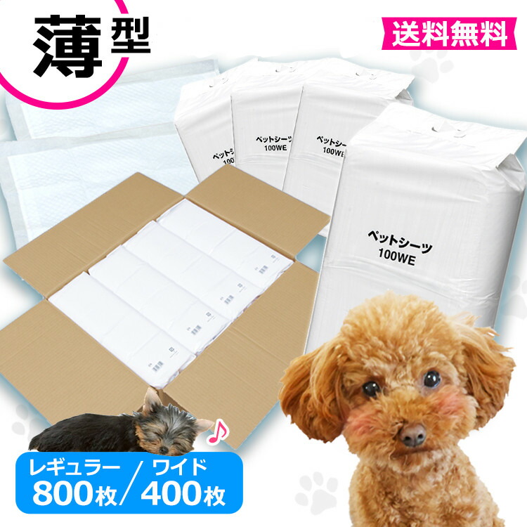 楽天市場 薄型 ペットシーツ レギュラー800枚 ワイド400枚送料無料 犬 ペットシート シーツ トイレシート 犬 トイレ シーツ ペット シーツ 犬 トイレシート 犬用 ペットシート 小型犬 中型犬 ペット用 業務用 Wnc 広告 犬とenjoｙ ドッグパーク