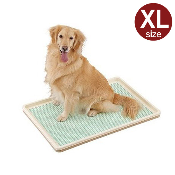 大型犬 トイレ しつけ メッシュ トレー XL タイプ オフホワイト 送料無料 犬 中型犬用 すのこ付き 大きい 【1020】
