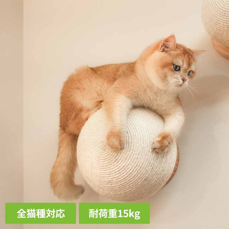 CATURN N25 キャターン爪研ぎボール MZ0002キャットウォーク キャットステップ 猫用品 ペット用品 猫家具 爪研ぎ 壁掛け ペット共生 猫部屋 賃貸おすすめ 長彩株式会社 【B】