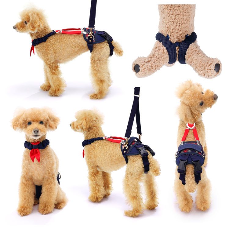 With 歩行補助ハーネスlalawalkホールド小型犬用 送料無料 犬ハーネス 犬介護 Lalawalk トンボ 歩行補助 小型犬 後ろ足 脚力低下 トンボ セーラーマリン ボーダーマスタード チェックカーニバル チェリーマリン D Sermus Es