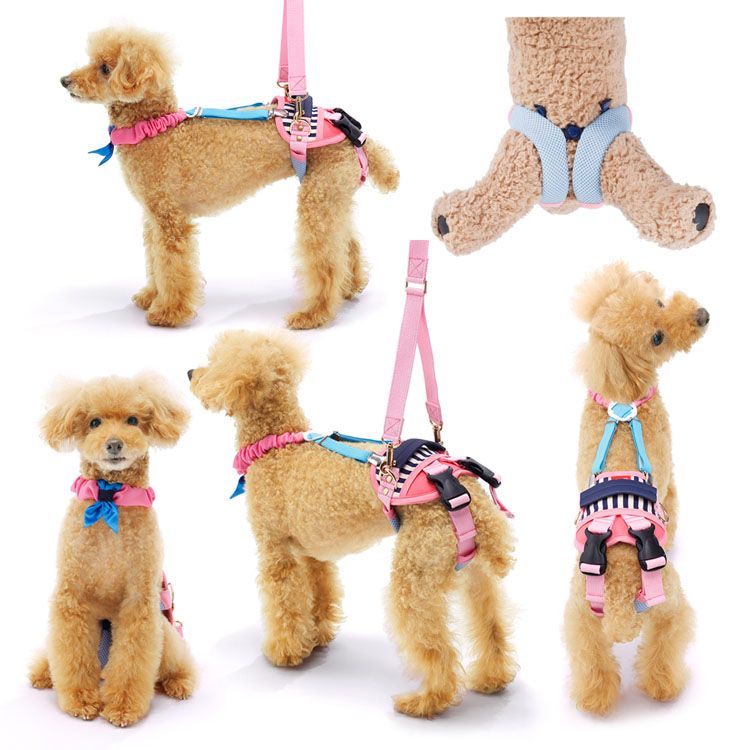 With 歩行補助ハーネスlalawalkホールド小型犬用 送料無料 犬ハーネス 犬介護 Lalawalk トンボ 歩行補助 小型犬 後ろ足 脚力低下 トンボ セーラーマリン ボーダーマスタード チェックカーニバル チェリーマリン D Sermus Es