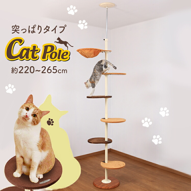 ボンビアルコン キャットポール 送料無料 猫 木登り キャットタワー 猫タワー キャットウォーク 組立式遊具 突っ張りタイプ つっぱりタイプ 省スペース ボンビアルコン D Nairametrics Com