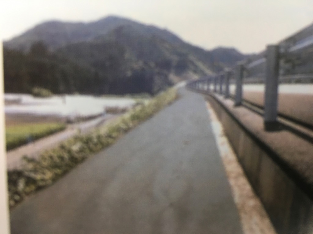 楽天市場】小泉製麻 防草シートKOMA100EXグレー 200cm x 50m