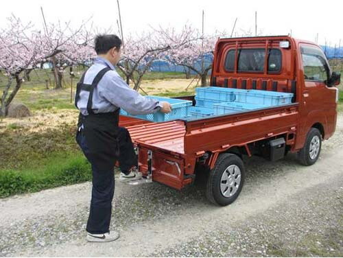 ミツル　軽トラック用ステップ「楽のり」　※法人様限定※代引き不可商品です。【北海道・沖縄・離島は別途運賃】