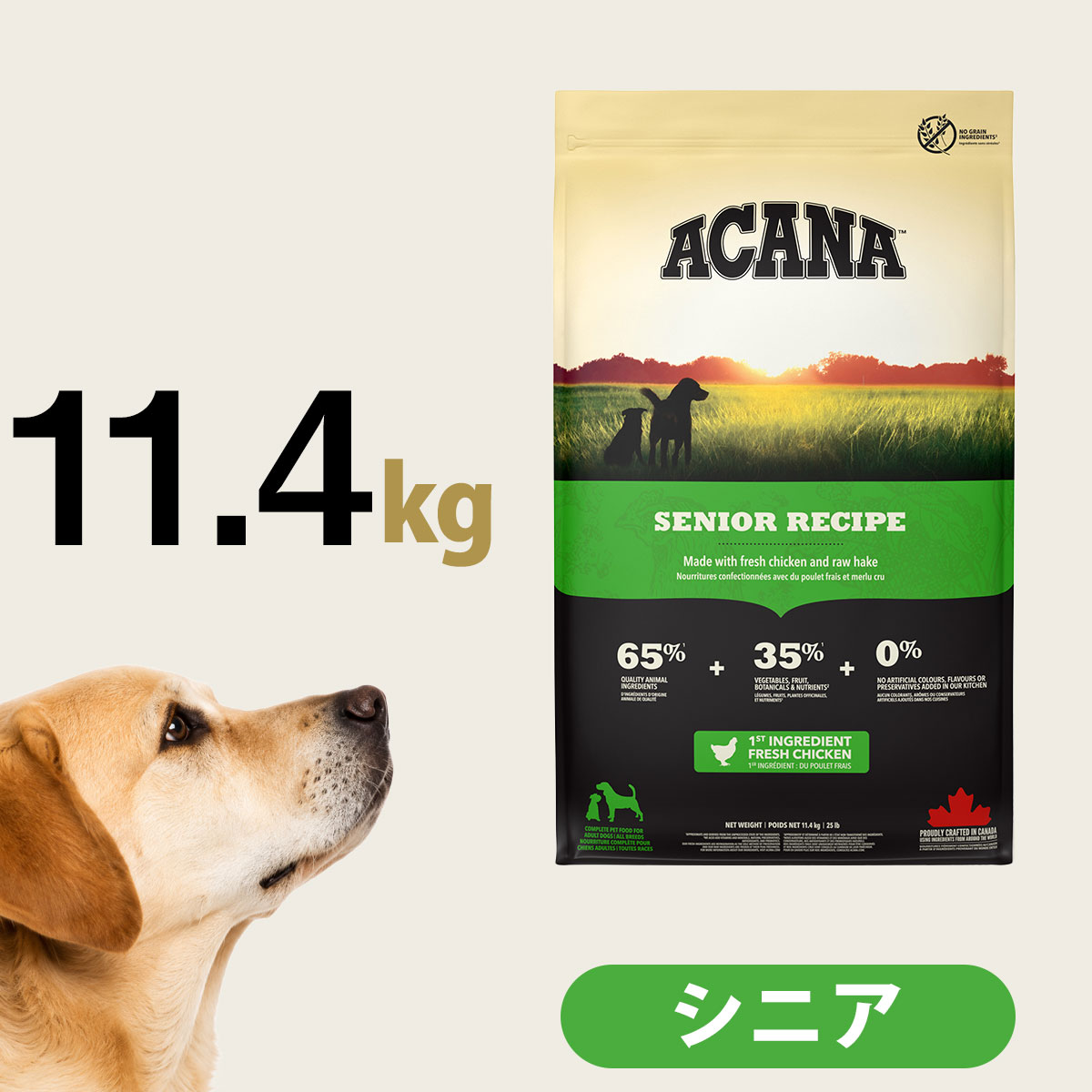 いつものごはんに塗り付けるを！猫お父ちゃんの情の籠もったボンネット、トッピング食のご引き合わせる。