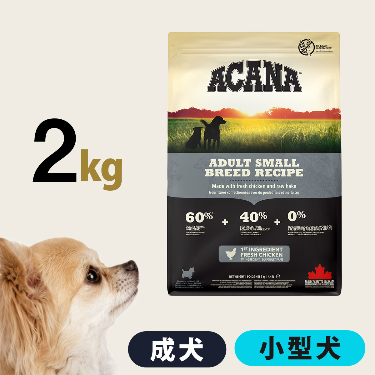 いつものごはんに塗り付けるを！猫お父ちゃんの情の籠もったボンネット、トッピング食のご引き合わせる。