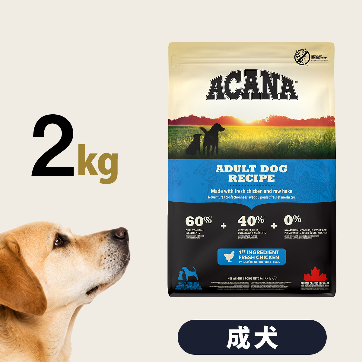 アカナ アダルトドッグレシピ 2kg ドックフード 成犬 犬 ドライ ドック【D】