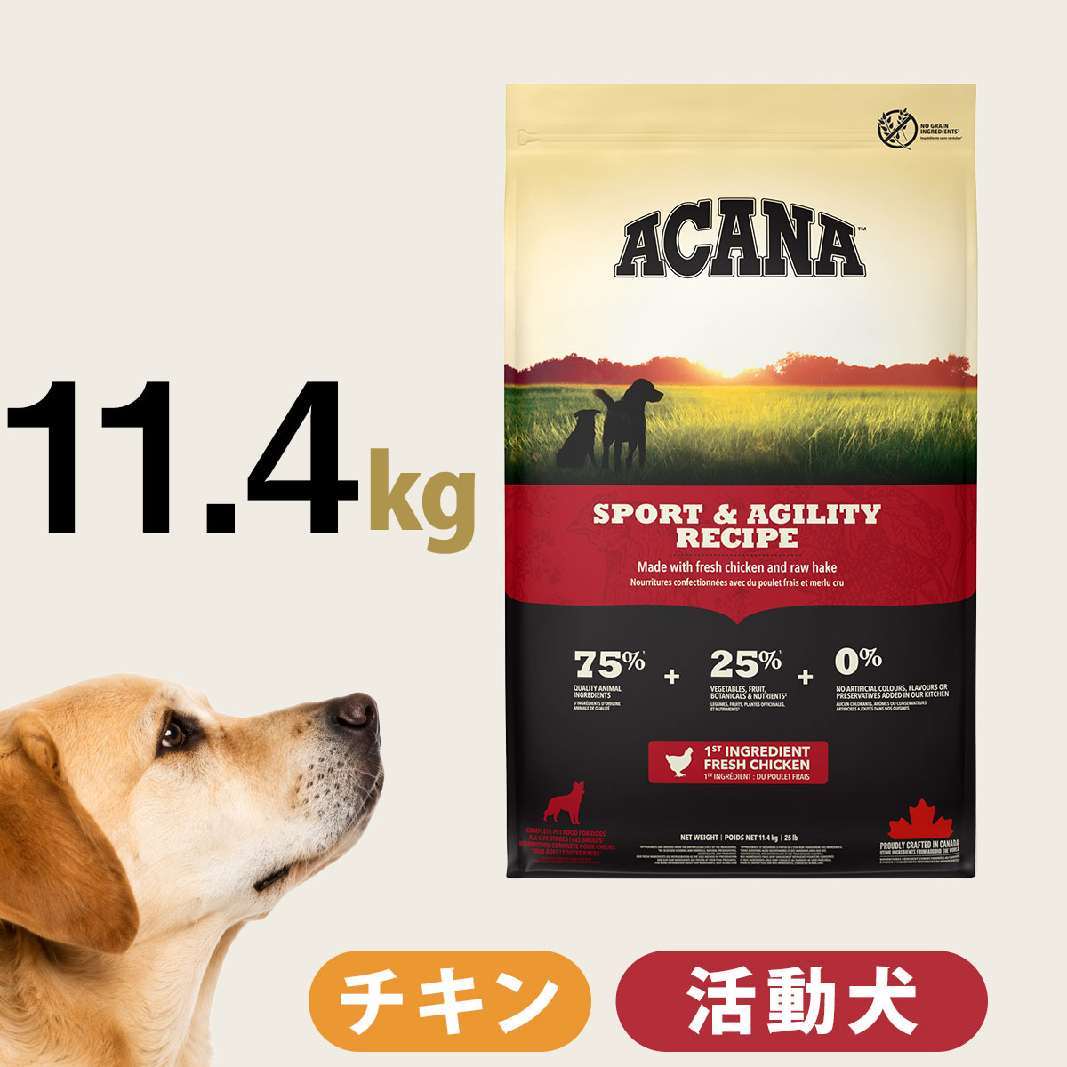 【マラソン期間限定!要エントリーでさらにP5倍】アカナ スポーツ&アジリティレシピ 11.4kg ドックフード 活動犬 穀物不使用 グレインフリー ドック【D】