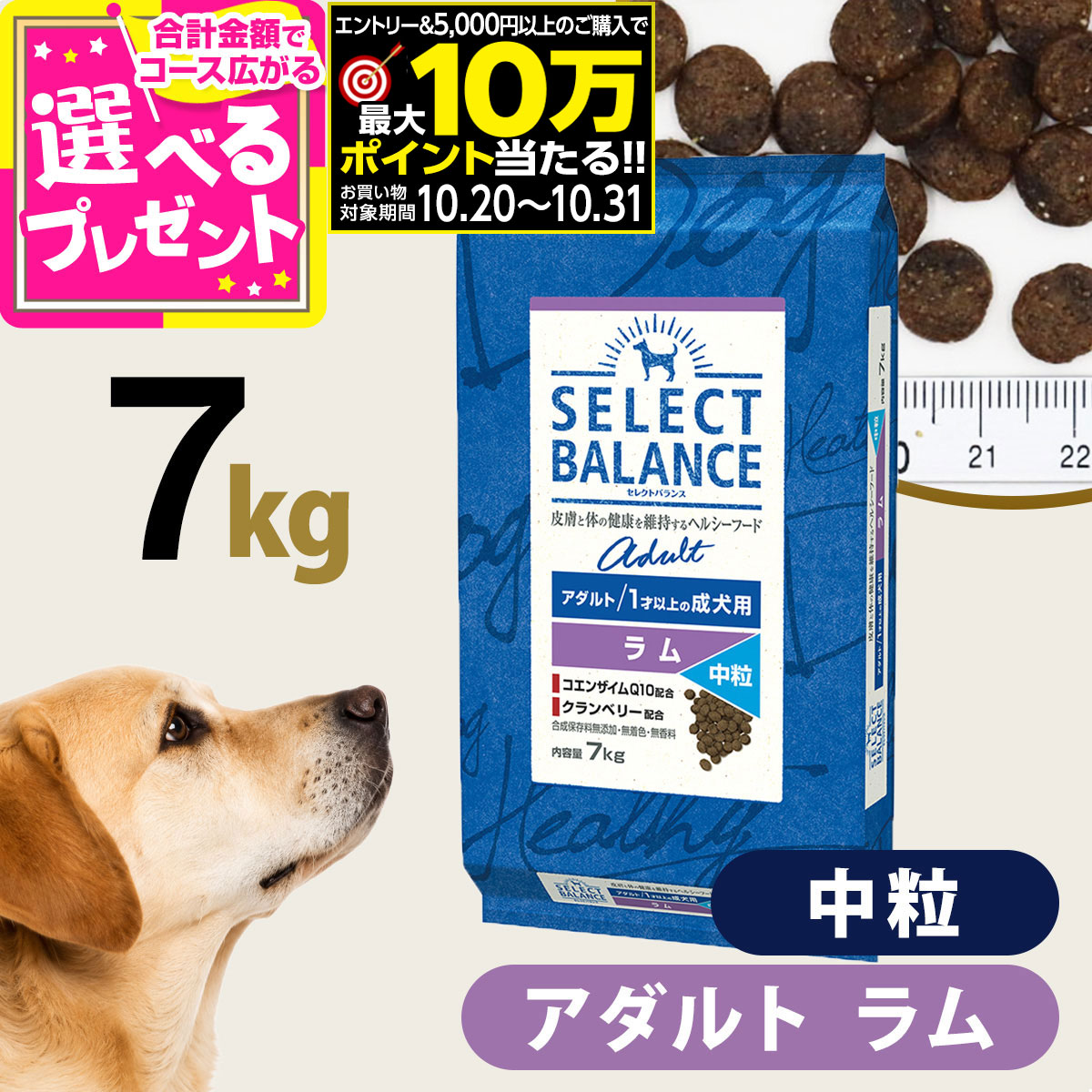 楽天市場】【要エントリー!10/31まで最大10万ポイント当たる】セレクト