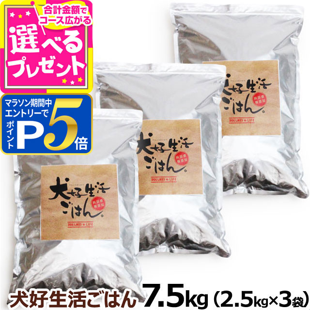 いつものごはんに塗り付けるを！猫お父ちゃんの情の籠もったボンネット、トッピング食のご引き合わせる。 犬用品-ペット・ペットグッズ