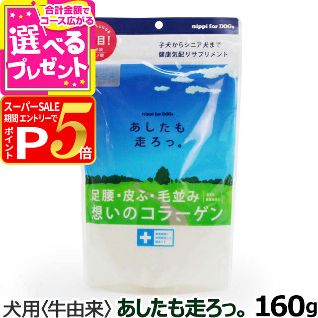 楽天市場】ニッピ nippi 犬用健康補助食品 あしたも走ろっ 160g（魚