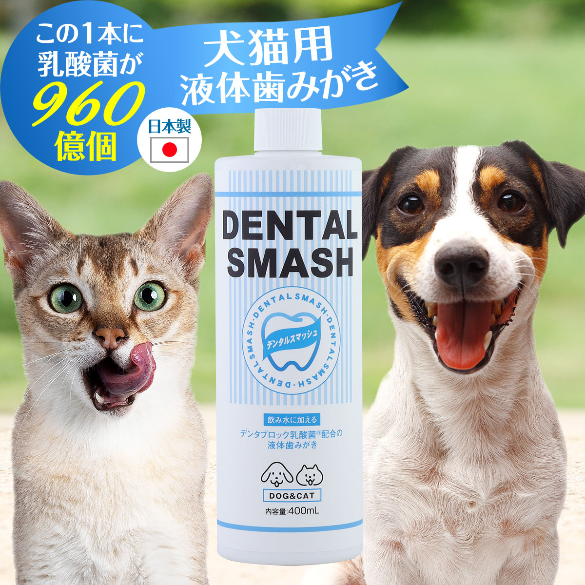 楽天市場】リデンタウォータープラス ReDenta 犬猫用液体
