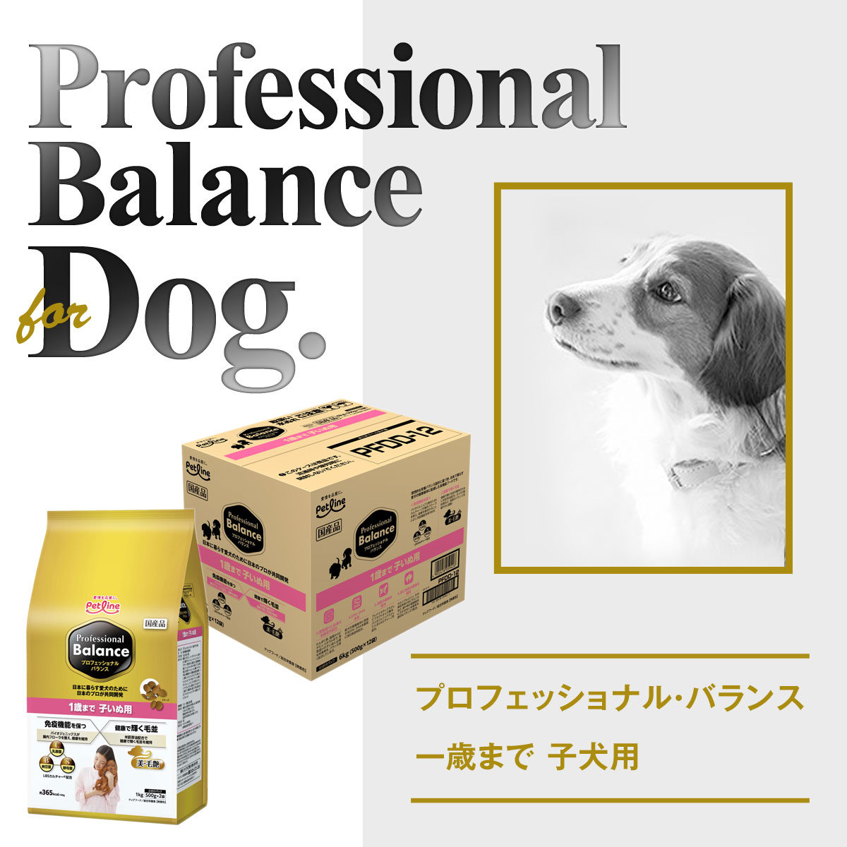 最終値下げ プロフェッショナルバランス 子犬用 2袋