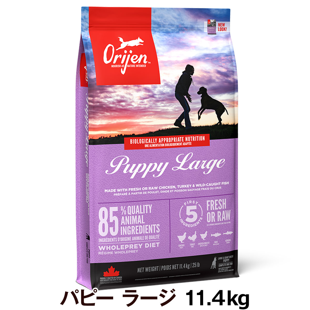 いつものごはんに塗り付けるを！猫お父ちゃんの情の籠もったボンネット、トッピング食のご引き合わせる。