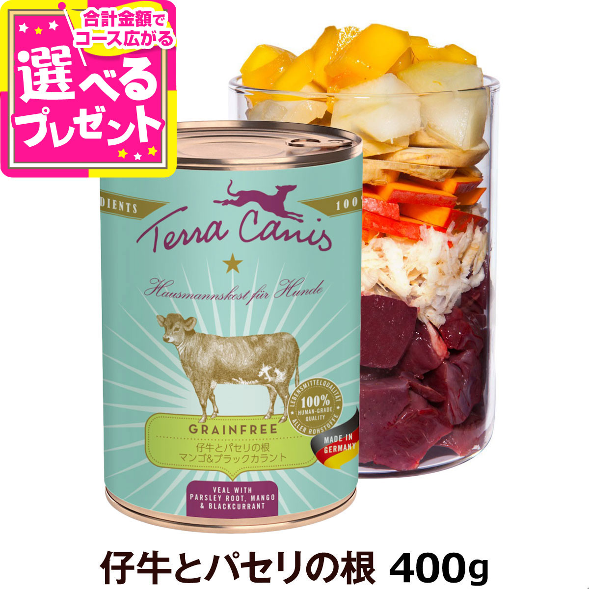 楽天市場】テラカニス コージーウィンター COZY WINTER 2024年冬