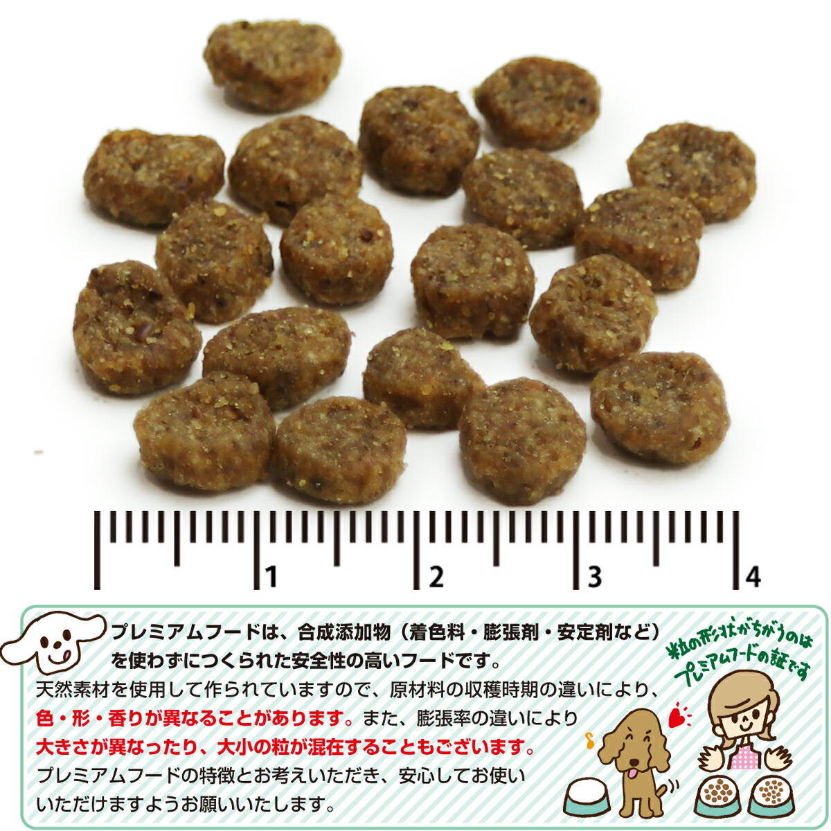 セレクトバランス グレインフリー 6kg Balance Select アダルト オメガ3 オメガ6 グルコサミン コエンザイム コンドロイチン タウリン チキン ドッグフード ドライ 小粒 成犬 無添加 犬 穀物不使用 １才以上成犬 国内正規品 アダルト