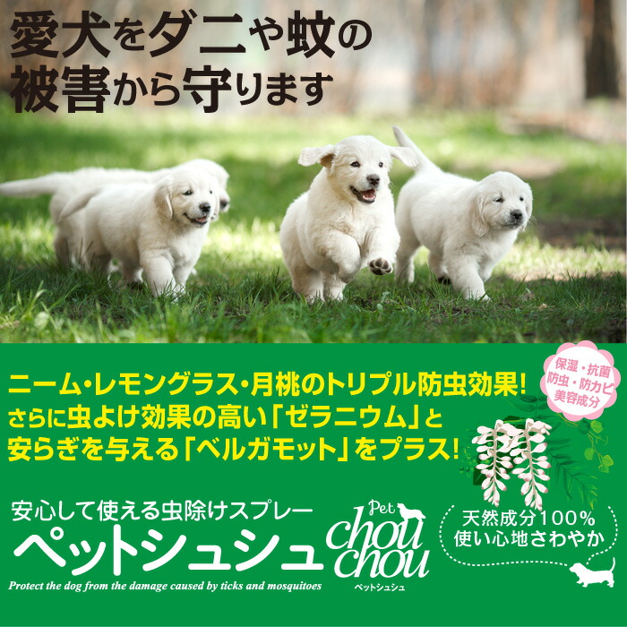 楽天市場 Petchouchou ペットシュシュ 0ml 犬 虫除け 虫よけ スプレー アロマ ドッグパラダイスぷらすニャン