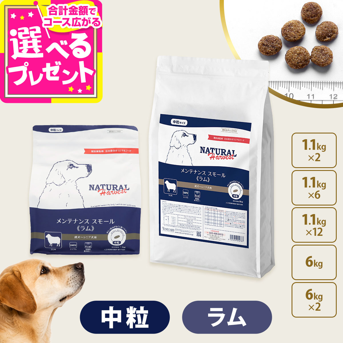 いつものごはんに塗り付けるを！猫お父ちゃんの情の籠もったボンネット、トッピング食のご引き合わせる。