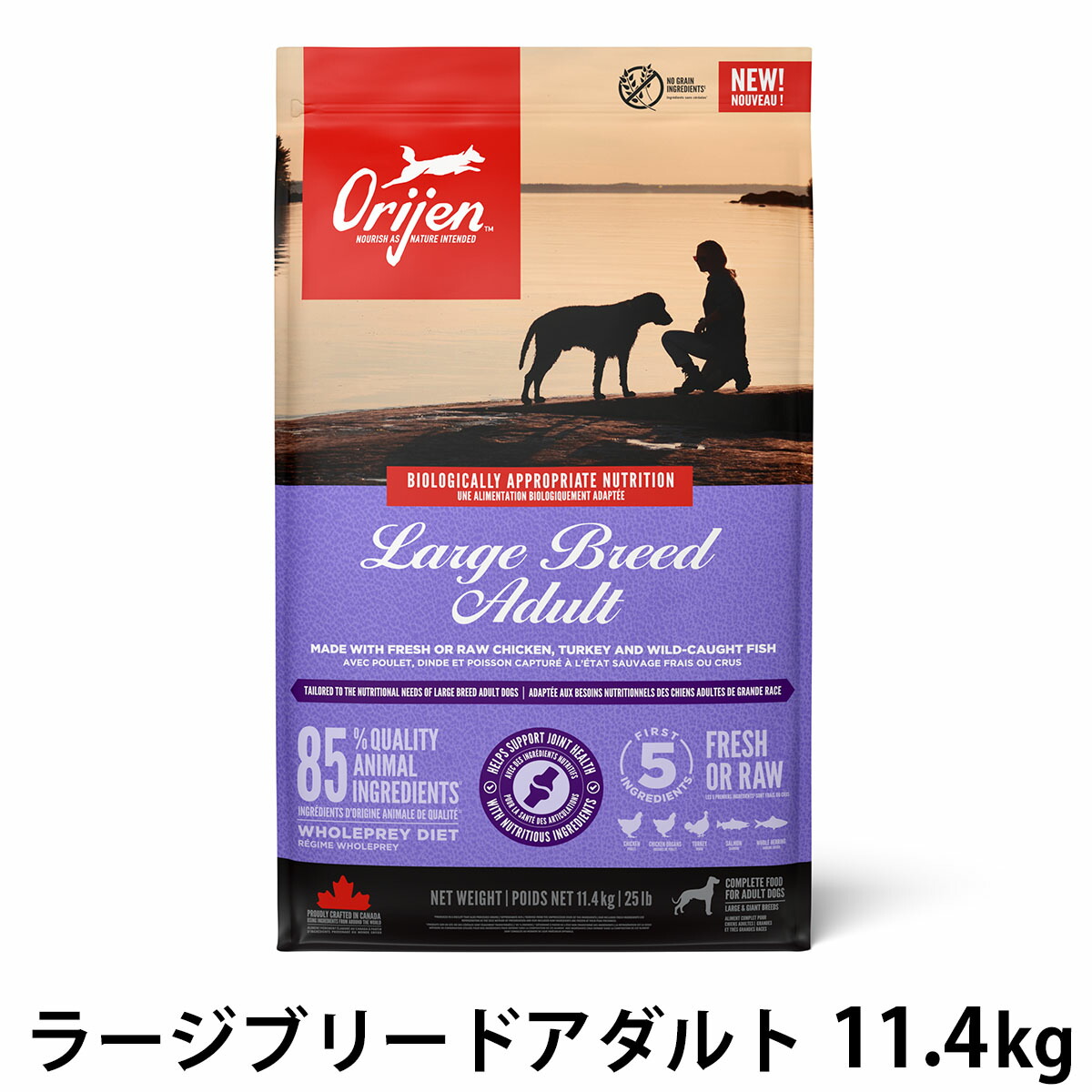 いつものごはんに塗り付けるを！猫お父ちゃんの情の籠もったボンネット、トッピング食のご引き合わせる。