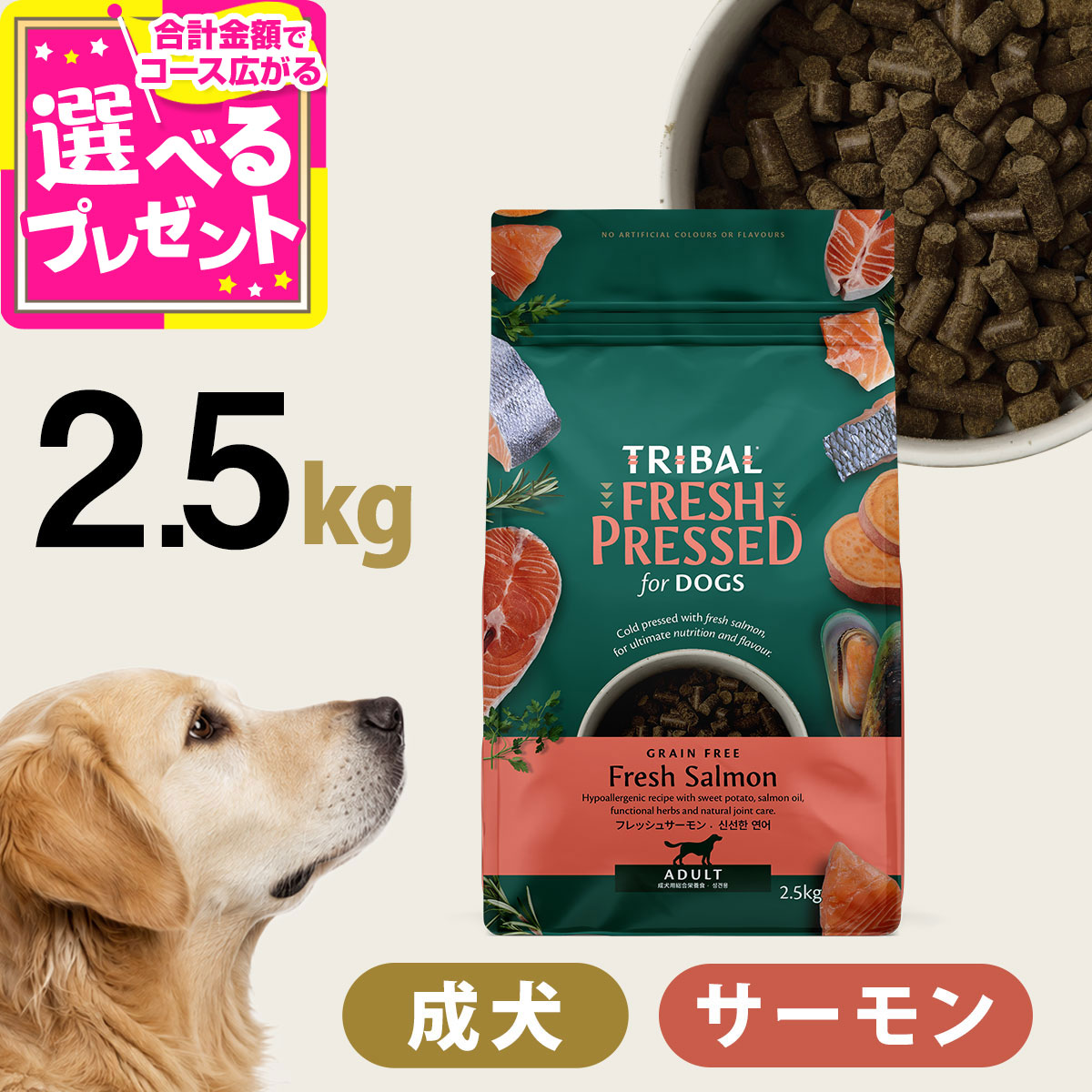 トライバル フレッシュサーモン 2.5kg サーモン コールドプレス ノンオイルコーティング 穀物不使用 グレインフリー 成犬 ドッグフード ドックフード TRIBAL【D】