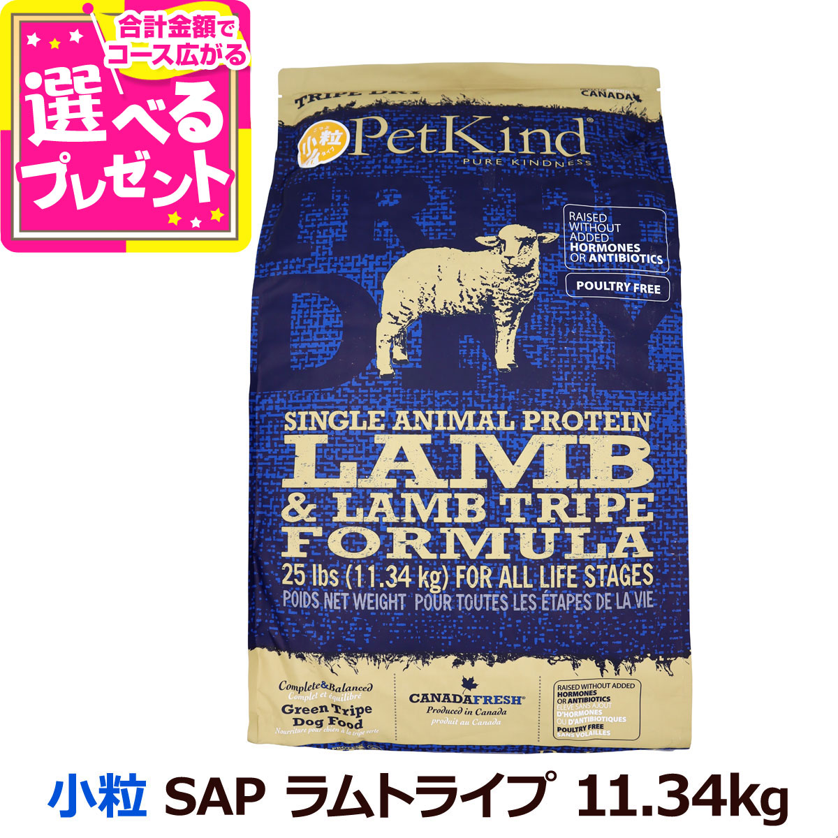 いつものごはんに塗り付けるを！猫お父ちゃんの情の籠もったボンネット、トッピング食のご引き合わせる。